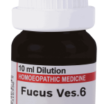 Fucus Ves  6