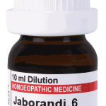  Jaborandi  6