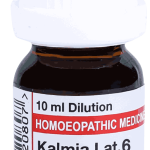  Kalmia Lat  6