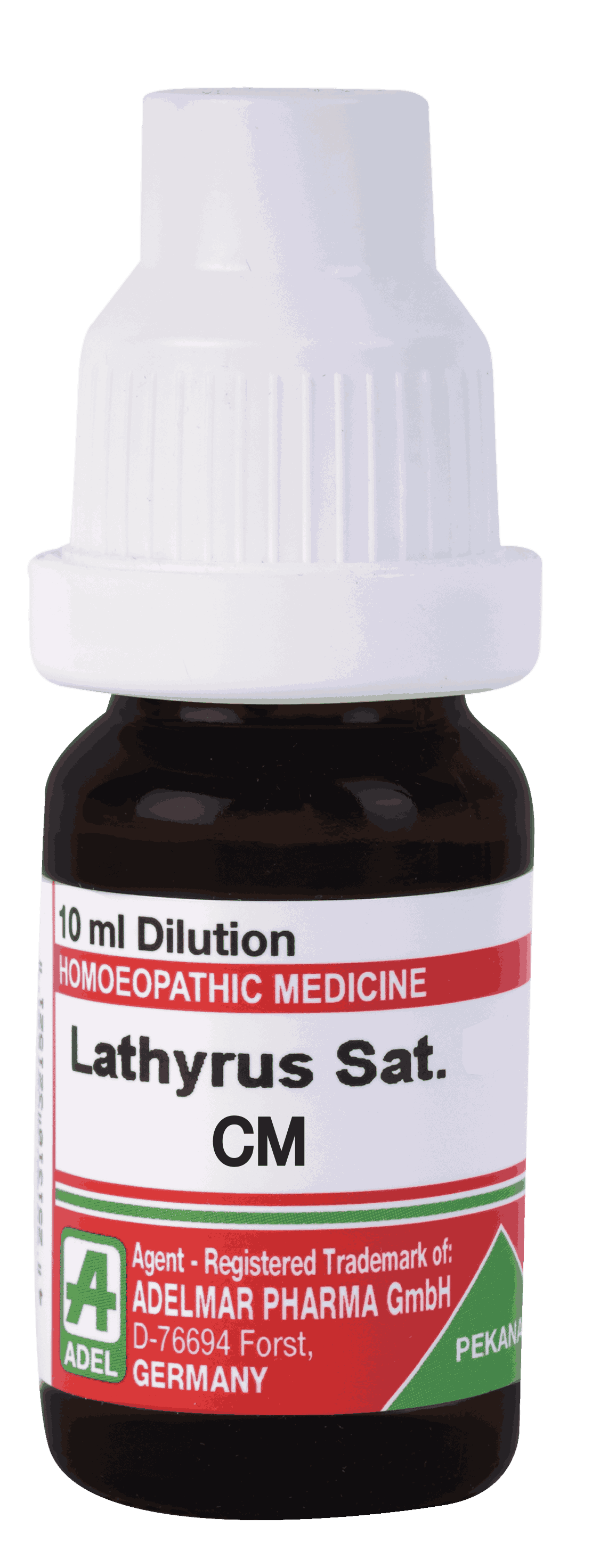  Lathyrus Sat  Cm