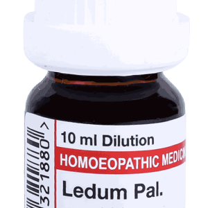  Ledum Pal  200