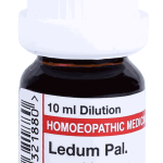  Ledum Pal  30
