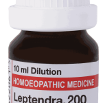  Leptendra  200