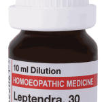  Leptendra  30