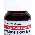  Pothos Foetida  30