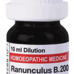  Ranunculus B  200