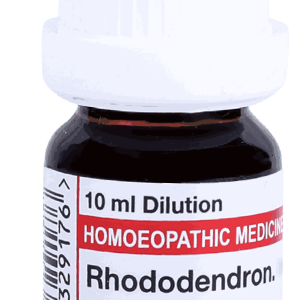  Rhododendron  10M