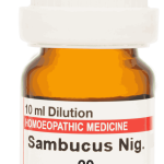  Sambucus Nig  30