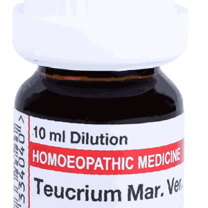  Teucrium mar ver  CM