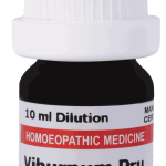  Viburnum Prunifolium  200