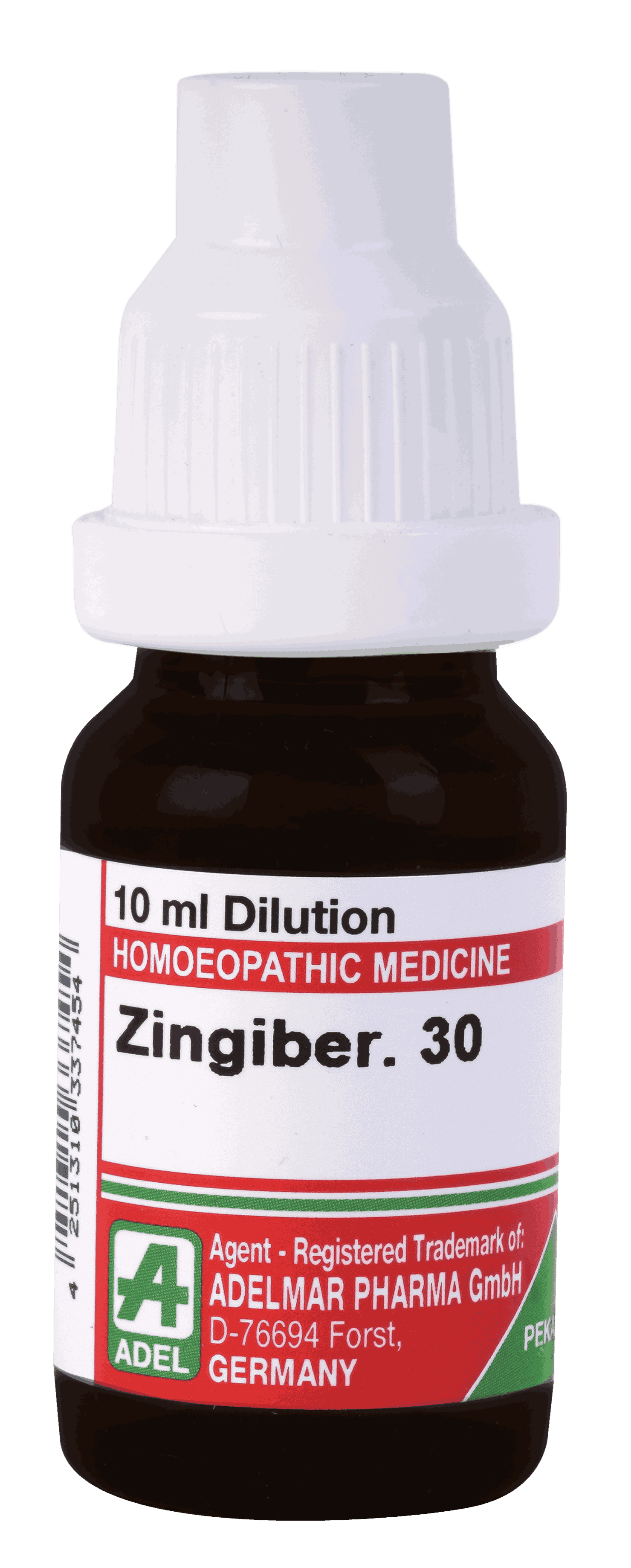  Zingiber  30