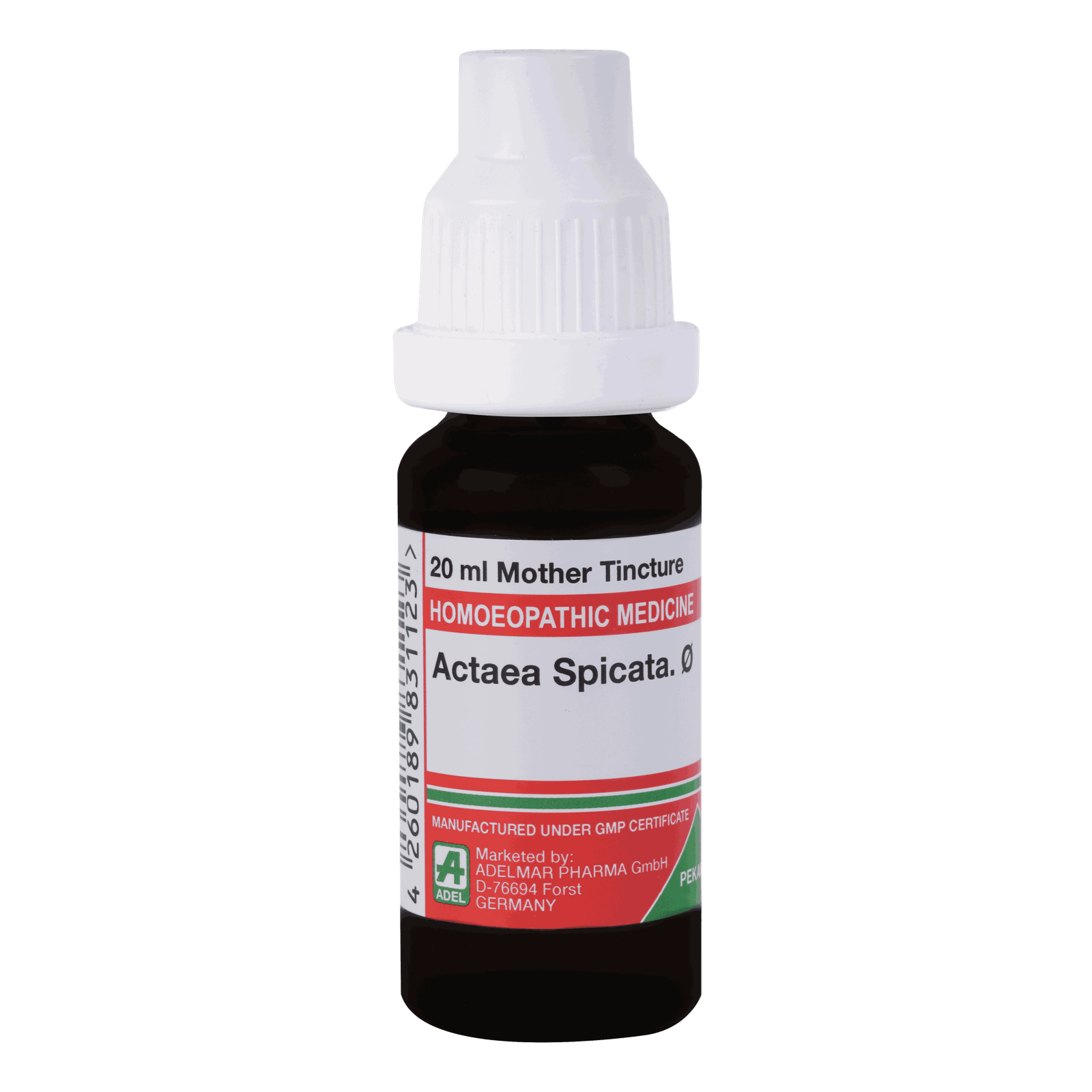  Actaea Spicata.   Ø