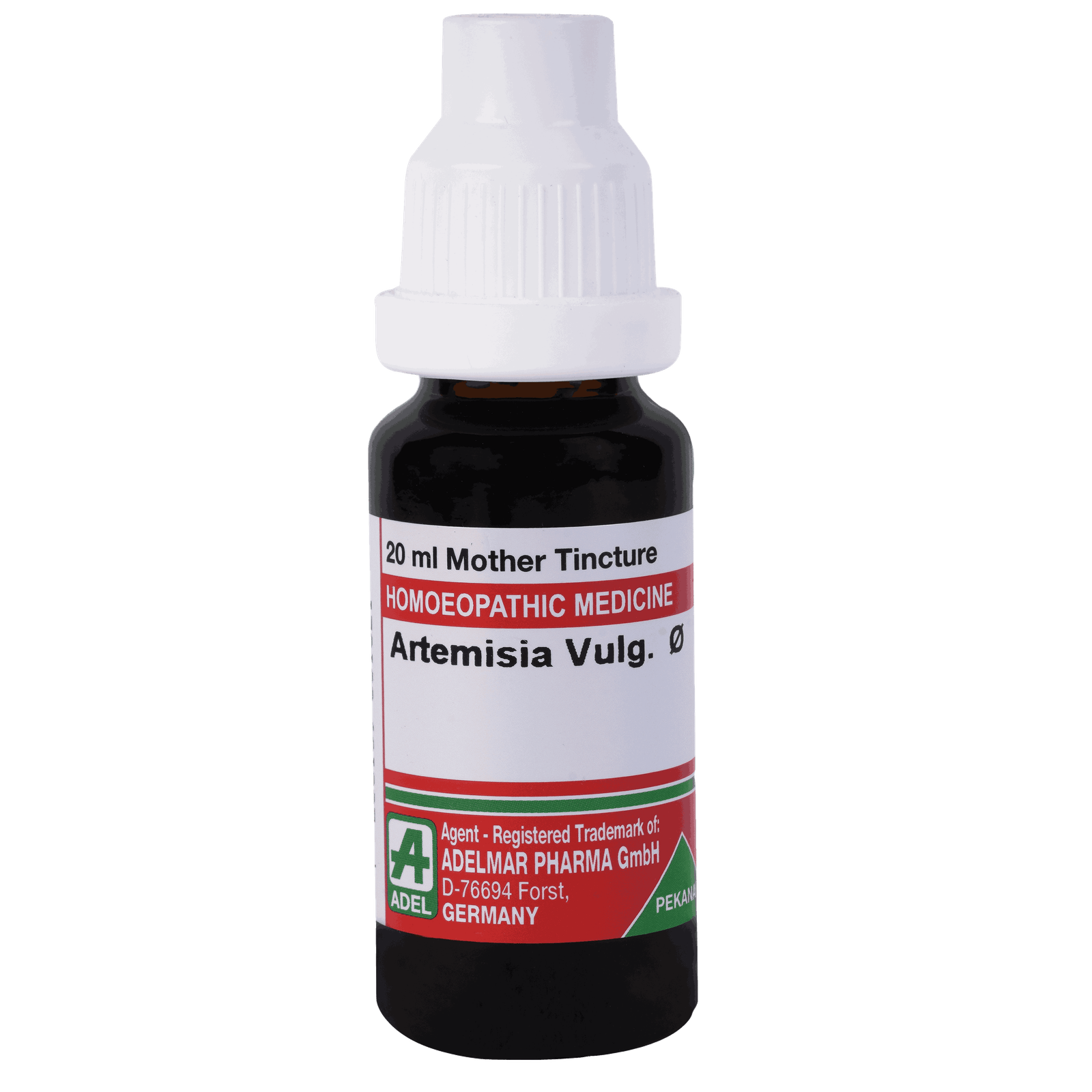   Artemisia Vulg.   Ø