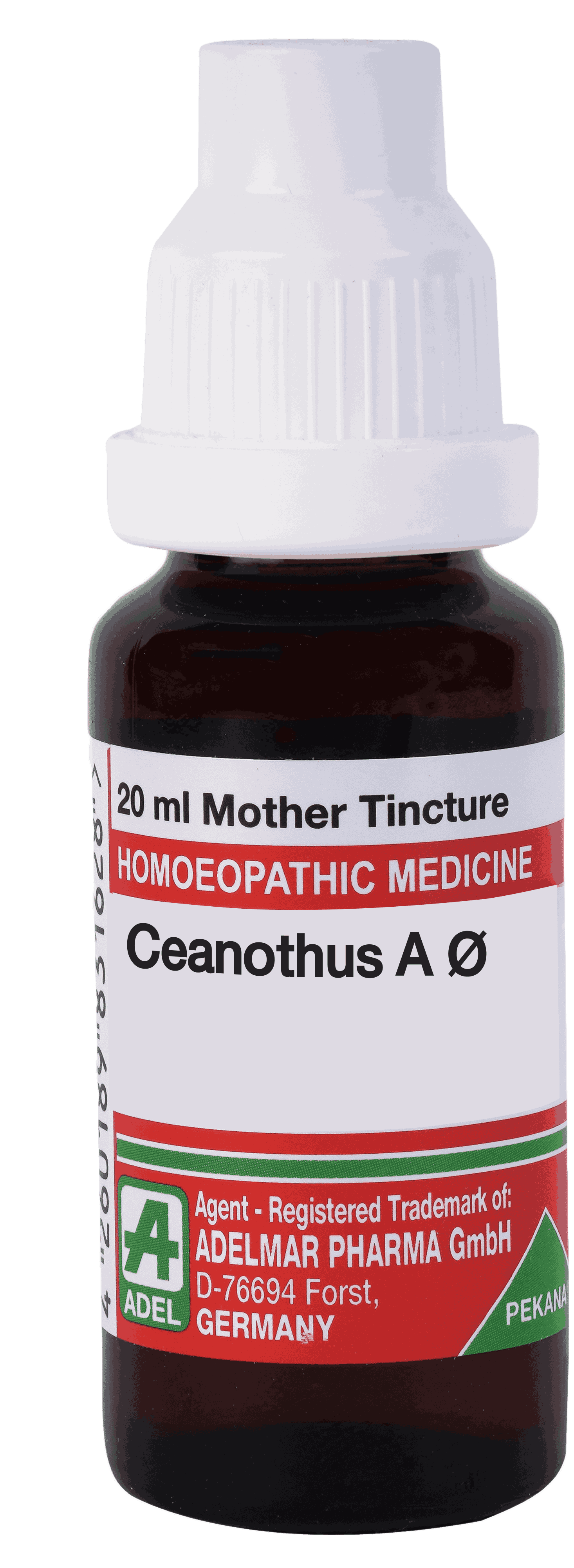  Ceanothus  A