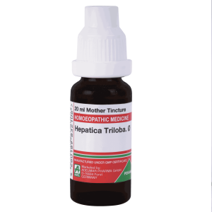  Hepatica Triloba.   Ø