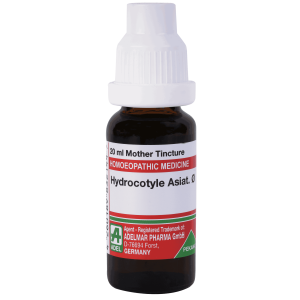  Hydrocotyle Asiat.   Ø